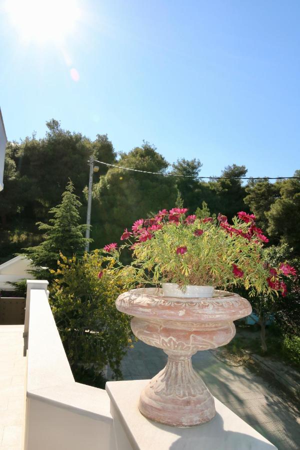 Villa Ariadne Athene Buitenkant foto